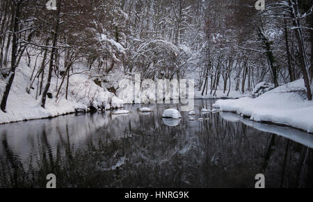 Trees covered with snow reflecting on the surface of the river. Stock Photo