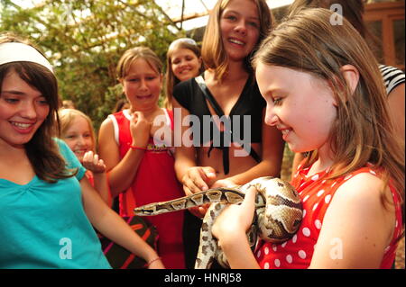 Worms, Germany - August 5, 2009 - Kids looking at a royal python in a animal park Stock Photo