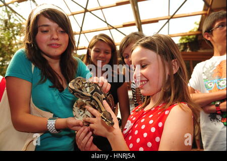 Worms, Germany - August 5, 2009 - Kids looking at a royal python in a animal park Stock Photo