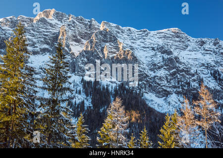 Winter Mountain Landscape, Forest, Hintersee, Nationalpark Berchtesgaden, Bavaria, Germany Stock Photo