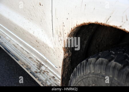 The mud on the wheels fenders and car doors. The result is a trip through the mud. Close-up texture background splashes of mud on a white dirty car. Stock Photo
