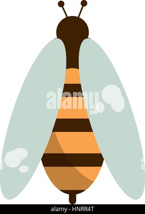 bee honey insect insect icon vector illustration eps 10 Stock Vector