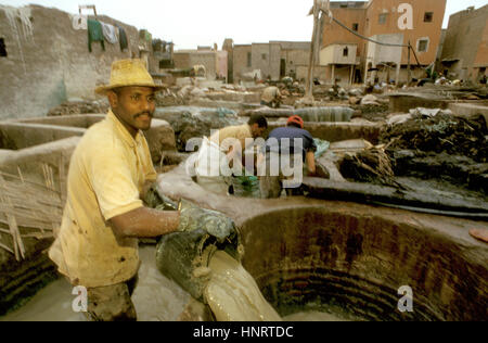 Men working at a tannery in Old Medina, Marrakech, Morocco, North Africa, Africa Stock Photo