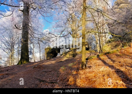 Wanderweg im Elbsandsteingebirge - Hiking trail in the Elbe sandstone mountains in fall Stock Photo