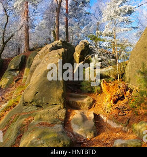 Wanderweg im Elbsandsteingebirge - Hiking trail in the Elbe sandstone mountains in fall Stock Photo