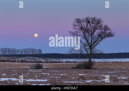 Raising Moon over Snowy Winter Fields Stock Photo