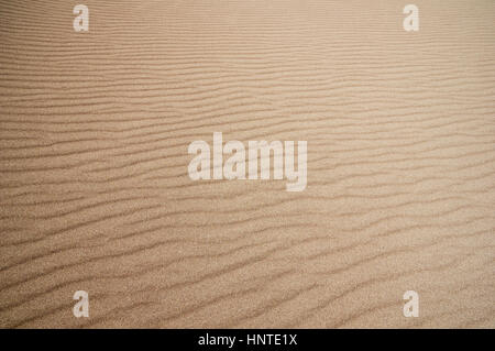 sand ripples in Great Sand Dunes National Park Stock Photo