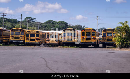 American school bus rear view in a row Stock Photo