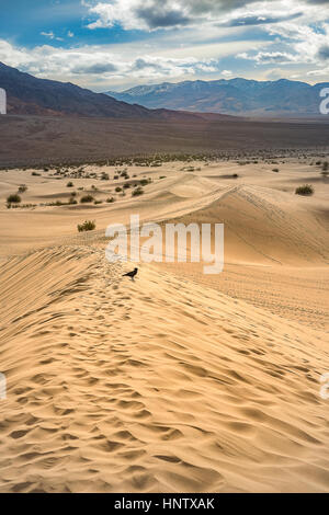 Amazing landscape photography of Mesquite Flat Sand Dunes, Death Valley National Park Stock Photo