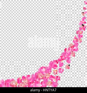 Gone with the Wind rose petals. Realistic vector pink petals on transparent background. Stock Vector
