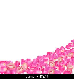 Gone with the Wind rose petals. Realistic vector pink petals on transparent background. Stock Vector