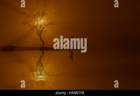 Silhouette of woman and tree near river at sunset Stock Photo