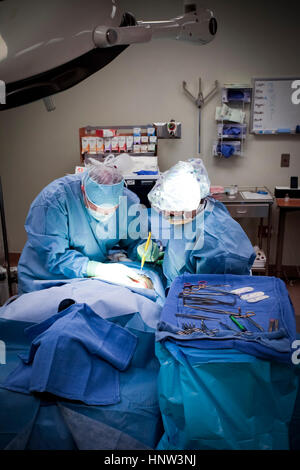 Surgeons operating on patient in hospital Stock Photo