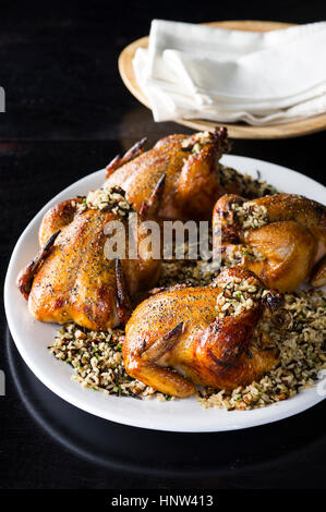 Cornish hens on plate with rice Stock Photo