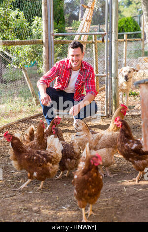 Organic farmer tending free range chickens Stock Photo