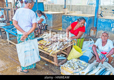 NEGOMBO, SRI LANKA - NOVEMBER 25, 2016: The elderly fishermen's wives sell the fish at the Main Fish Market and share local gossip, on November 25 in  Stock Photo