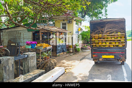 The truck laden with coconuts stands at the old fruit stall, Madampe, Sri Lanka. Stock Photo