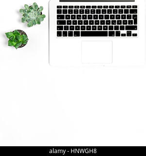 Laptop and succulent plants on white background. Flat lay mock up. Square image Stock Photo