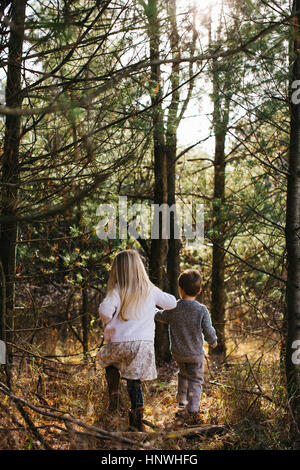 Siblings holding hands walking in forest Stock Photo