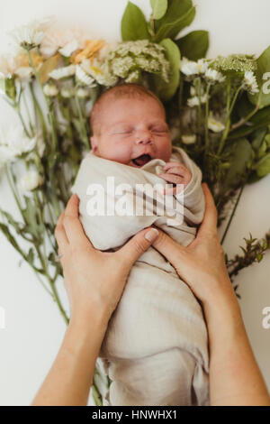 Female hands placing swaddled newborn baby daughter  on flowers Stock Photo