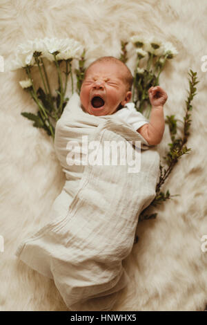 Portrait of swaddled newborn baby girl lying on flowers Stock Photo