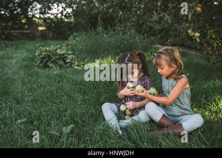 Two young girls collecting apples on farm Stock Photo