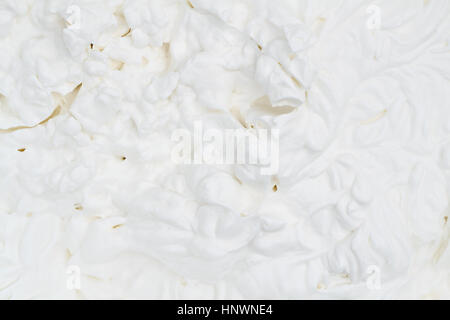 Overhead shot looking down on cream background. Stock Photo