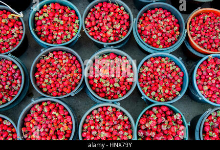 Overhead view of fresh strawberries in buckets on market stall, Kyrgyzstan, Central Asia Stock Photo