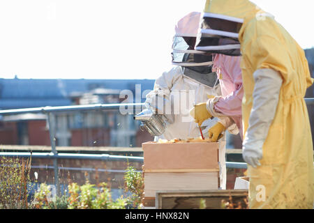 Male and female beekeepers tending trays on city rooftop Stock Photo