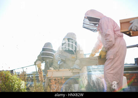 Male and female beekeepers using bee smoker on city rooftop Stock Photo