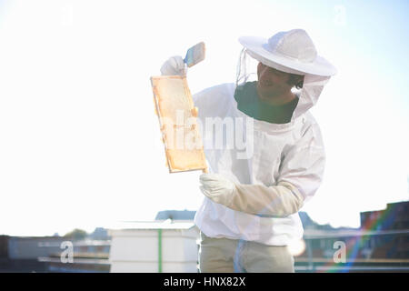 Male beekeeper holding honeycomb tray on city rooftop Stock Photo