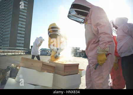 Male and female beekeepers using bee smoker on city rooftop Stock Photo