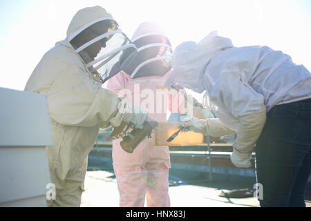 Beekeepers discussing honeycomb on city rooftop Stock Photo