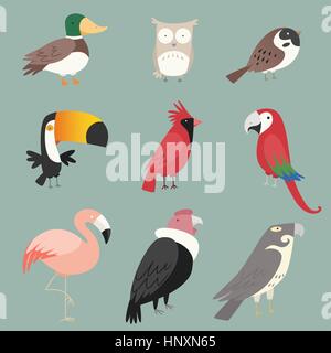 Cartoon species Bird collection. With nine (9) different birds species like: duck, owl, peacock, rooster, pelican, toucan and swan vector illustration Stock Vector