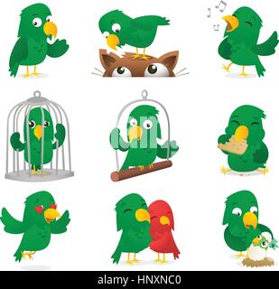 Cartoon parrot collection. Parrot, parakeet, love-bird, cockatoo, polly, imitate caricature, in different scenes like, standing parrot, standing on ca Stock Vector