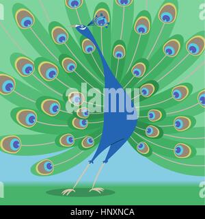 Multicolour standing peacock with beautiful feathers vector illustration. Stock Vector