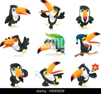 Nine Toucan cartoon collection, with nine tucan in different situations like, standing toucan, flying toucan, mad toucan, in love toucan, with leaf to Stock Vector
