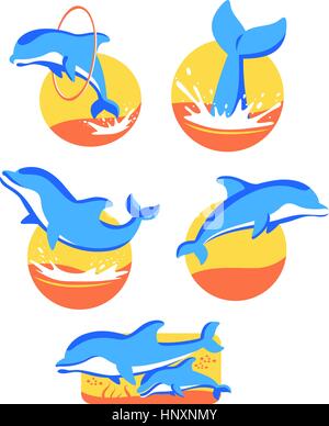 Five Dolphin icons set, with five different dolphins in five different situations vector illustration. Stock Vector