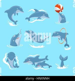 Nine Dolphin set collection, with dolphin playing with ball, with red ring, jumping, two dolphins, and swimming vector illustration. Stock Vector