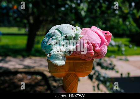 Two scoops on mint chocolate chip and berry ice-cream in a wafer cone held in hand against green grass and trees. Stock Photo