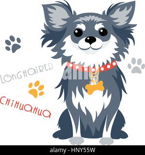 Vector funny longhaired Chihuahua dog sitting Stock Vector