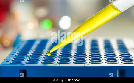 96 well Microtiter plate in genetic laboratory Stock Photo