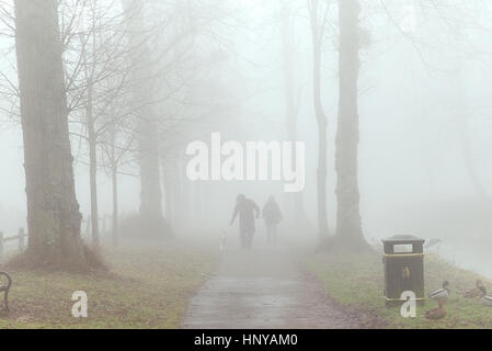 A couple walking in thick fog under trees in winter A couple walking in thick fog under trees in winter