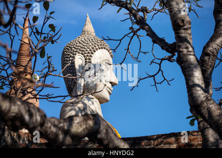 Big Buddha statue in Wat Yai Chai Mongkol monastery in Ayuttaya, Thailand Stock Photo