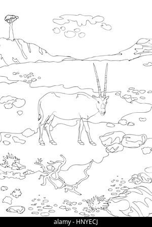of the desert made decorative lines. Vintage engraving for color. Black and white coloring pages for adults. Vector illustration. Stock Vector