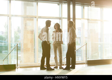 Business colleagues share ideas Stock Photo