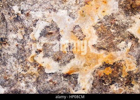 Flecked dark light rock texture found on Northumberland coastline. Berwick upon Tweed. UK Stock Photo