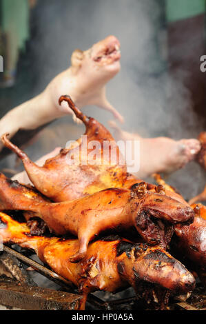 Traditional delicious food of South America , Roasted Guinea Pig (cuy), Ecuador Stock Photo