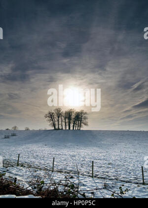 Low winter sun and dramatic sky behind copse of trees in snow covered field, Derbyshire, England, UK.