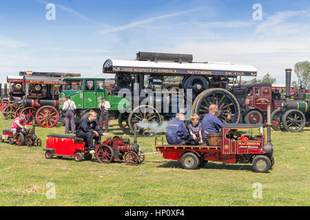 Steam Traction Engines at Masham Steam Rally North Yorkshire England UK Stock Photo